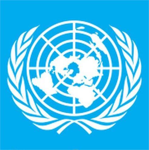 联合国（10）